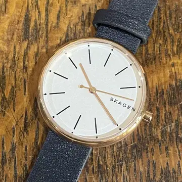 SKAGEN 스카겐 손목시계 쿼츠 가죽 벨트