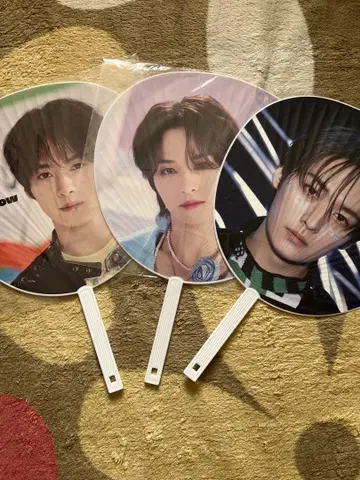 리노 부채 3개 세트