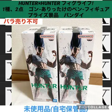 헌터헌터 피그 라이프 2개 곤 모든 펜 피규어