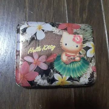 레어! 일광화상 키티 캔 케이스