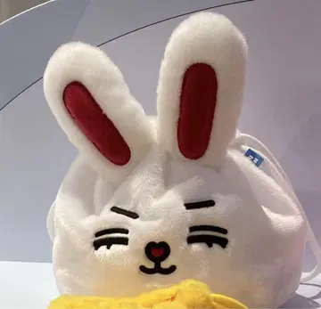 SEVENTEEN 에스크푸스 MINITEEN 팝업 파우치