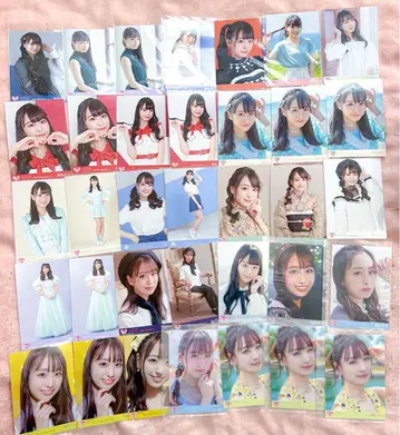 이코러브 타키와키 쇼코 브로마이드 장미 정리