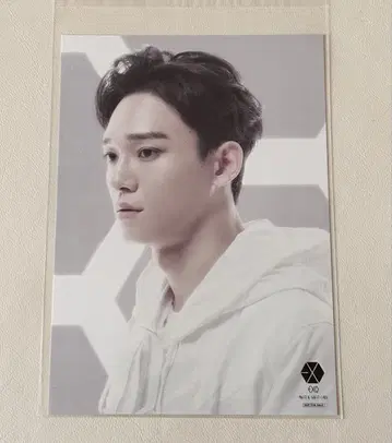EXO CHEN 미그리 카드