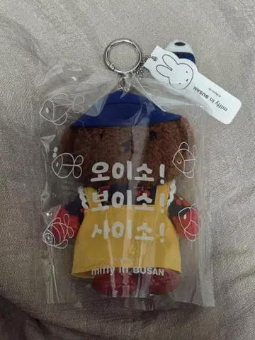 보리스 부산 한정판