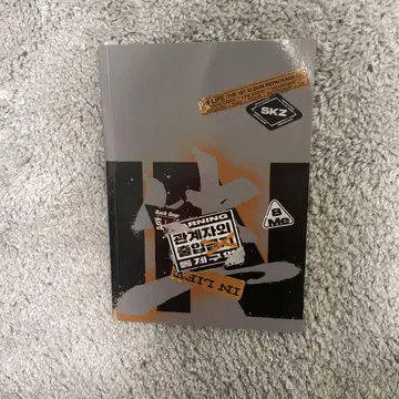 straykids IN LIFE 앨범 혜택 사진집