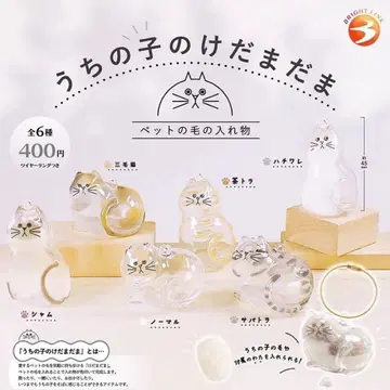 선착순! 우리 아이의 케다마다마 가챠 전 6종 세트