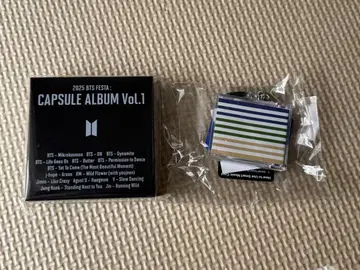 BTS 페스타 캡슐 앨범 진