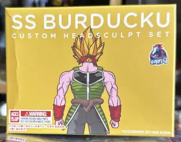 비 S.H.Figuarts 커스텀 헤드 버덕