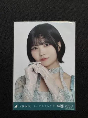 노기사카 브로마이드 네이블 오렌지 나카니시 아르노 요리