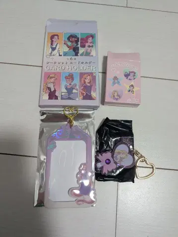 디즈니 시크릿 카드 홀더 & 시크릿 키체인