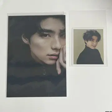 혼다 코야 브로마이드 미니 사진