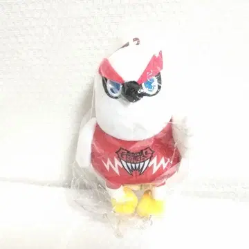 TOYAMA GROUSES 그라키 2023-24 에코백 미니백