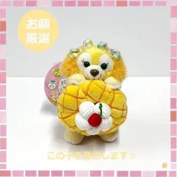 더피&프렌즈 필드 위드 조이! 봉제 인형 배지 쿠키 앤