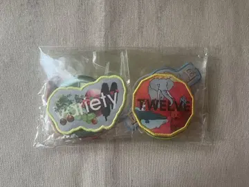 Mrs. GREEN APPLE 와펜 10개 세트