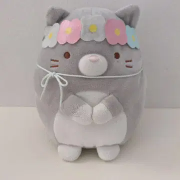 스미코구라시 고양이 형제