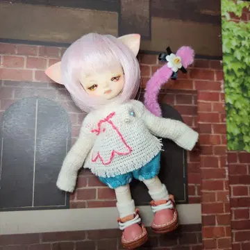 커스텀 인형