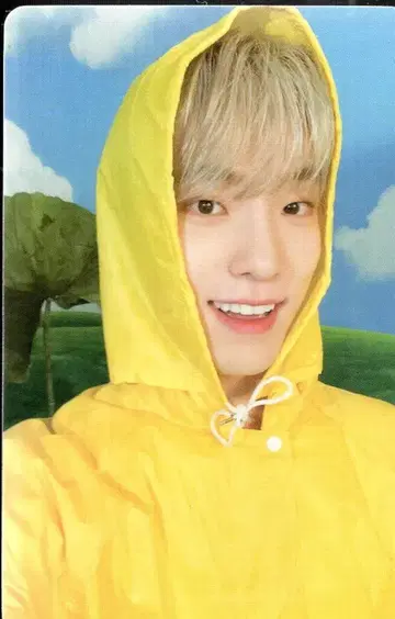 세븐틴 DINO 세븐틴스 헤븐 캐럿