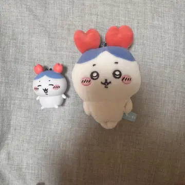 치이카와 하치와레 가니상 세트