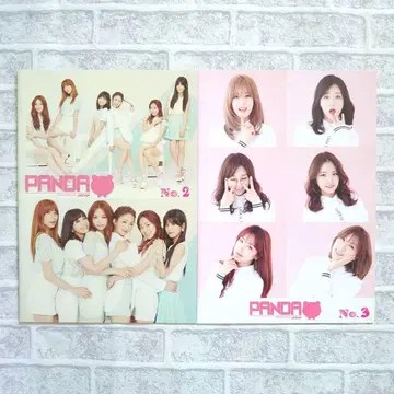 Apink apink 팬클럽 혜택 뉴스레터 2권 세트 잡지