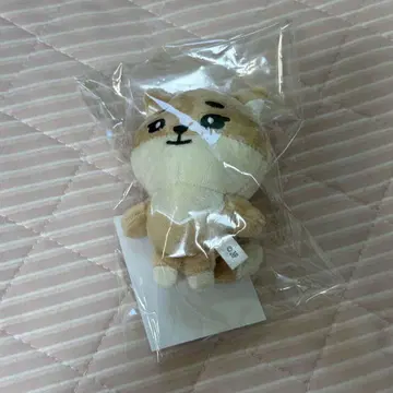 DAY6 Young K  KE 백 참