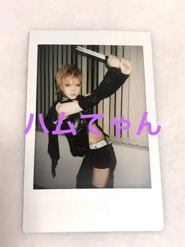 DELUHI 레다 LEDA 폴라로이드 델히