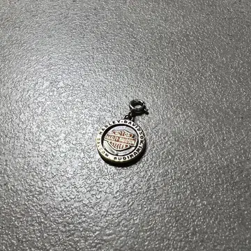 할리데이비슨 메탈 참 약 2.5cm 넥리스 탑