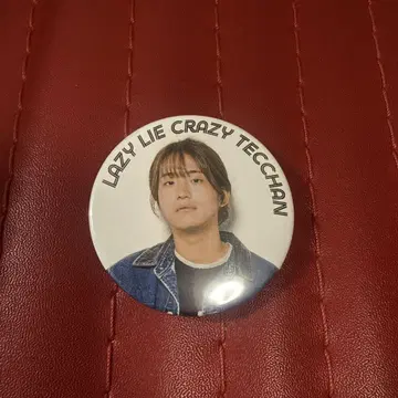 레이크레 테챠 캔뱃지