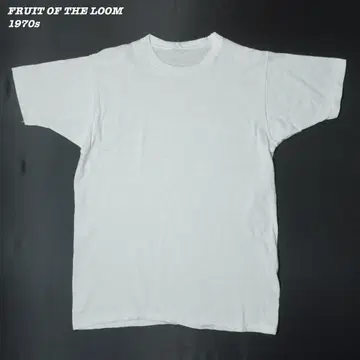 FRUIT OF THE LOOM 티셔츠 1970년대 T366