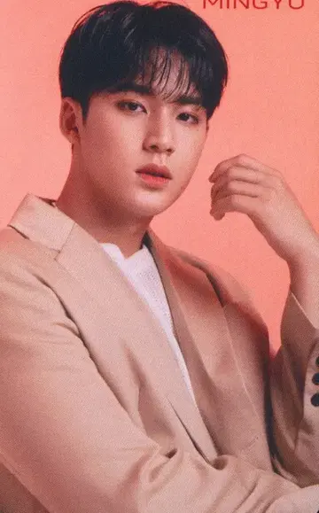 SEVENTEEN 24H MINGYU 트레이딩 카드