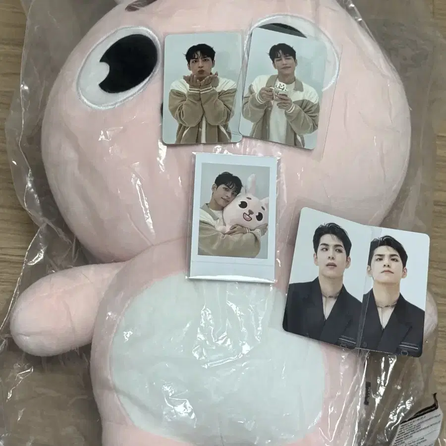 DAY6 | 데이식스 Day6 Giant Pilkki Wonpil day6 on Bunjang