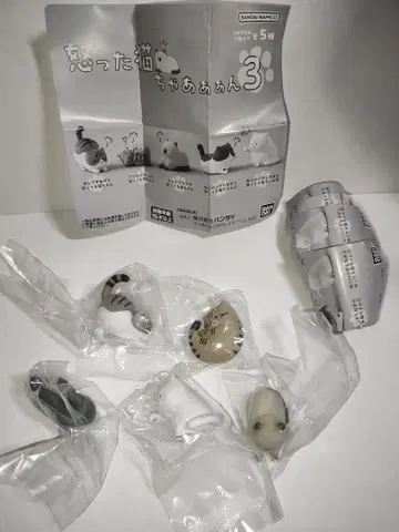 화난 고양이 3 5종 컴플리트