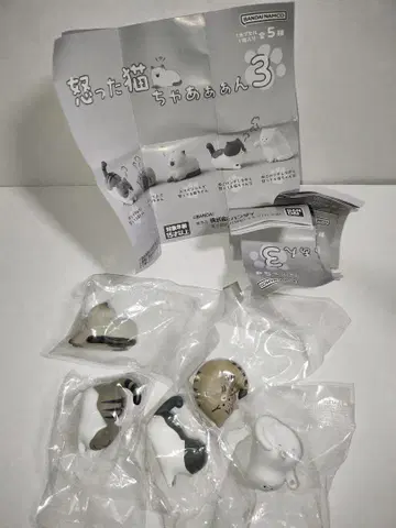 화난 고양이 차아앙 3 5종 컴플리트