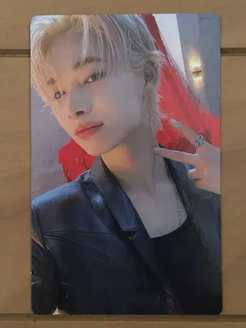 enhypen 니키 트레이딩 카드 유