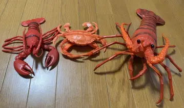모듬  게, 새우, 게, 대하 3종 세트