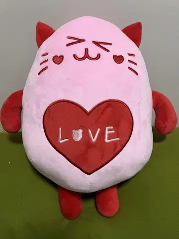 ROROHA 봉제 인형 냥냥 대 ASTRO MOONBIN