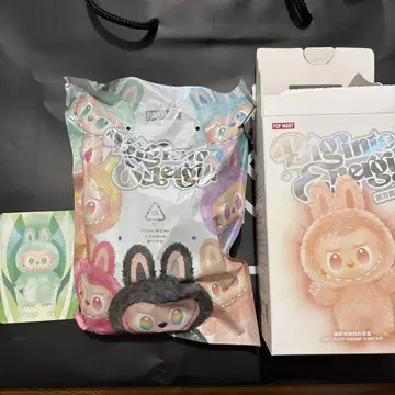 공식 구매 정품 labubu 라부부 Biginto Energy 에너지