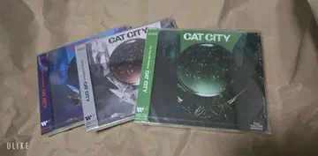 CAT CITY CD 세트