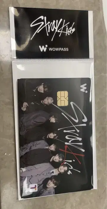 WOWPASS straykids ALL 올