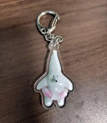 상상의 아파트, 바다가 기다려지는 별, 아크링 키링