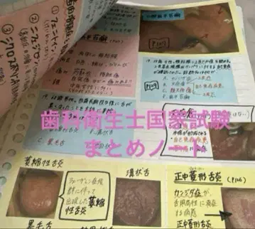 치과 위생사 국가 시험 요약 노트