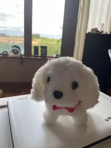 강아지 반려동물 로봇! 사진 보세요! 보기만 해도 힐링이 됩니다~