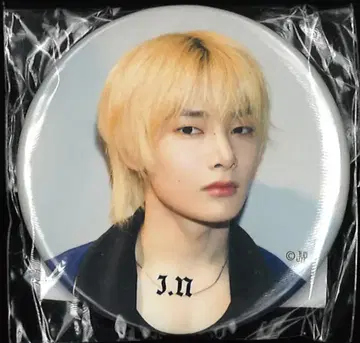 StrayKids 2024 dominATE JAPAN I.N 캔뱃지