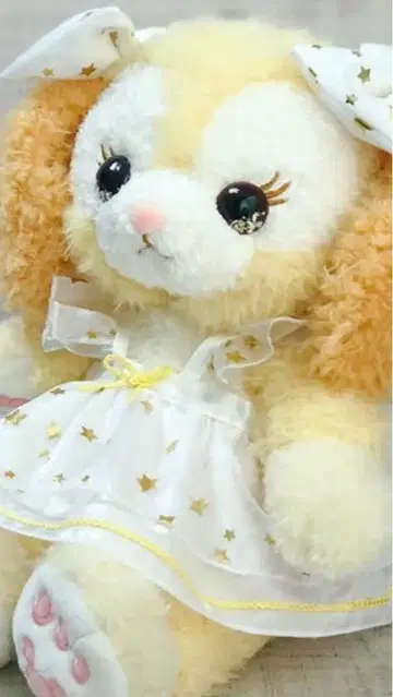 쿠키 앤 봉제 인형