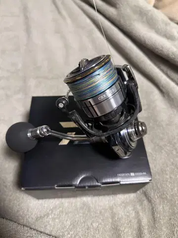 19 셀 테이트 LT5000D-XH