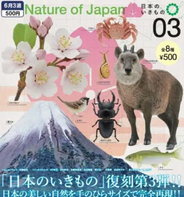 전 8종 세트 Nature of Japan 일본의 생물 03 피규어