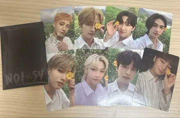 스키즈 straykids noeasy 한정판 트레이딩 카드 세트