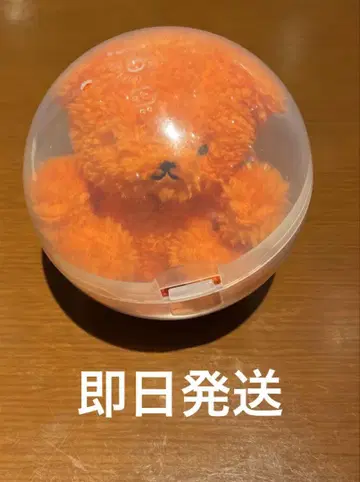 토이 씨 가챠가챠 허그 베어 오렌지 애니메이트