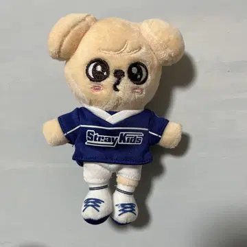 puppym 백 참 POP UP