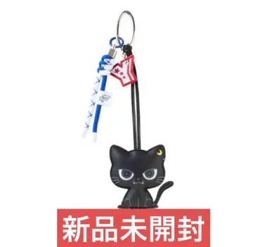 야기 유세이 멘프로 쿠이 참