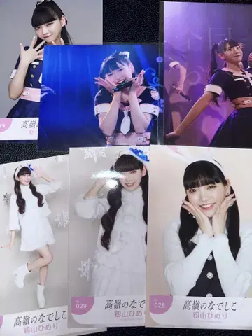 타카미네의 나데시코 모미야마 히메리 브로마이드 미니 사진 직필 카드 세트